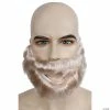 Men's Bargain Biblical Beard
