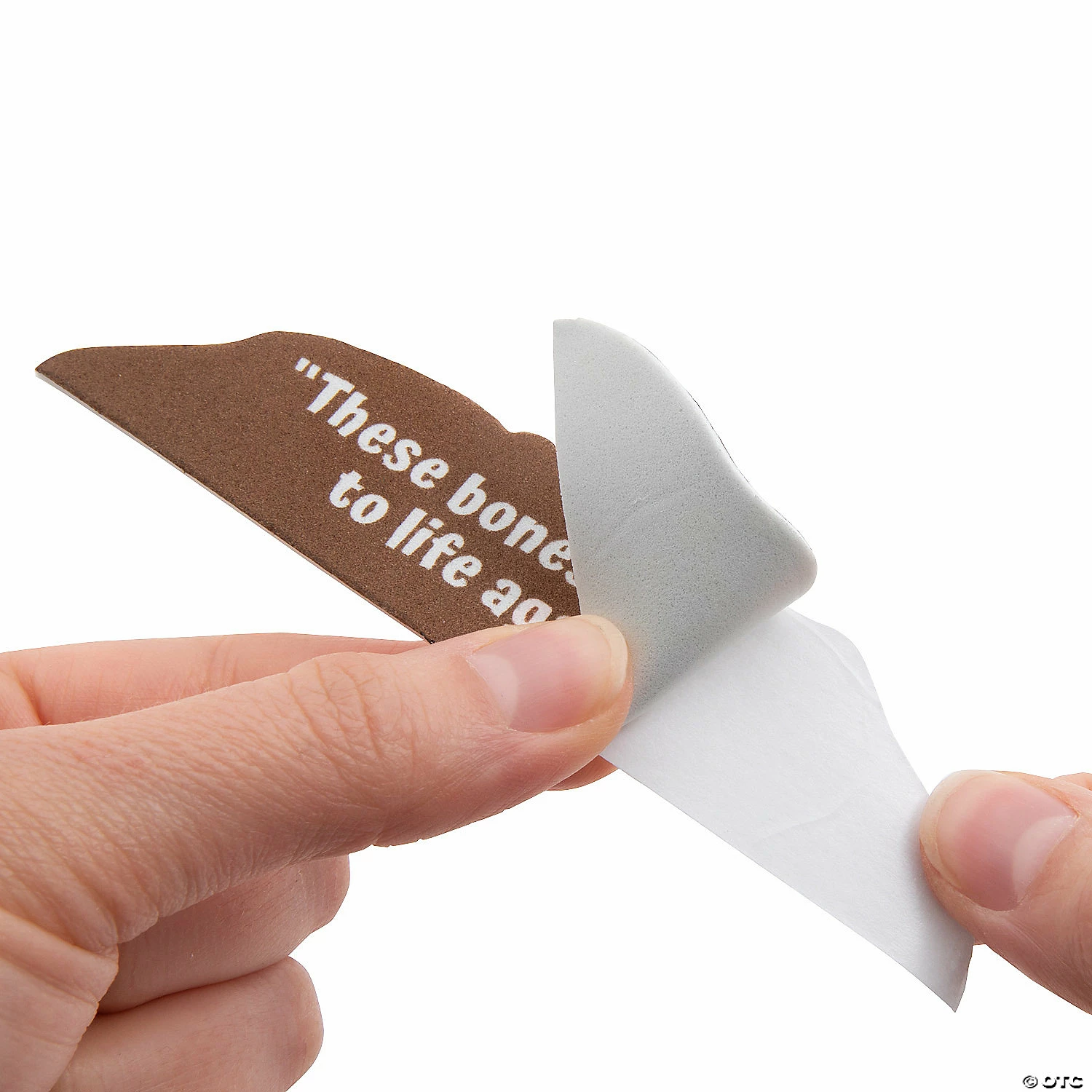 Religious These Bones Will Live Again Sign Craft Kit - Makes 12 3 Religious These Bones Will Live Again Sign Craft Kit - Makes 12 - Image 3